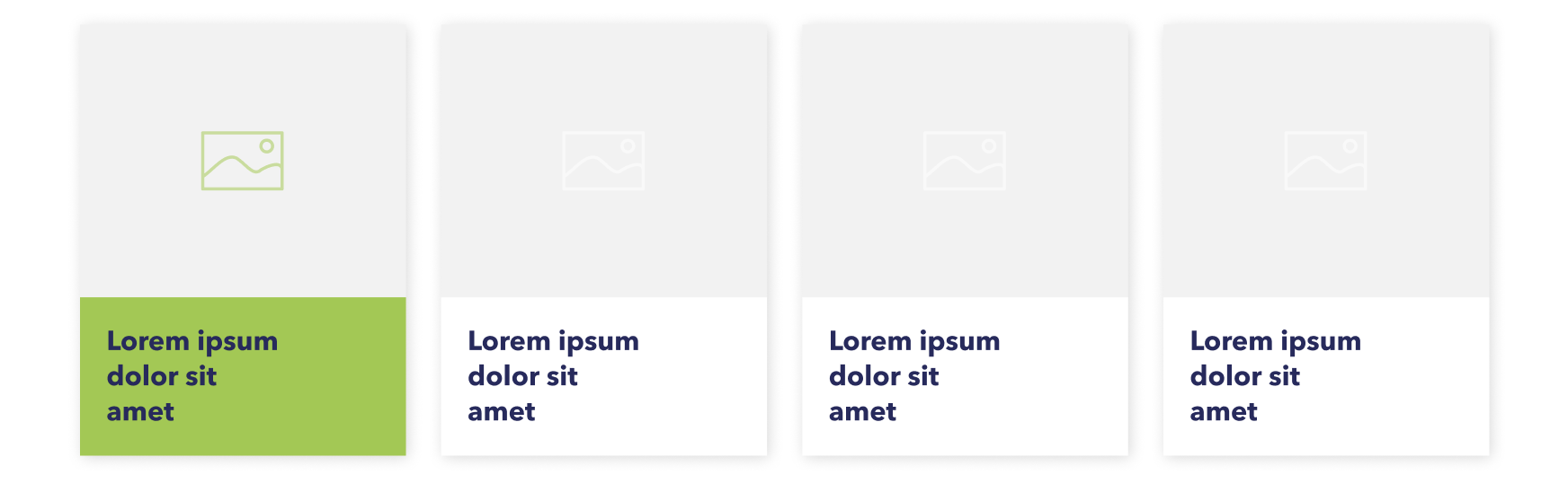 Case Studies Section with image