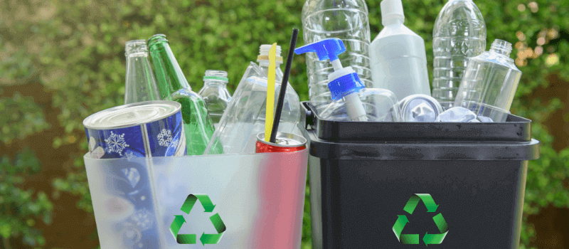 plastic bottles in recycling bins