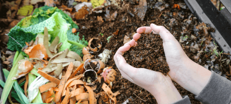 composting